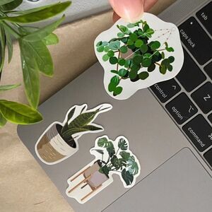 PACK of 3 Vinyl Glossy Stickers | Snake Plant | Monstera Plant | Hanging Plant |